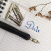 Σετ Καλλιγραφίας με Μελάνι SinoArt | Calligraphy Set