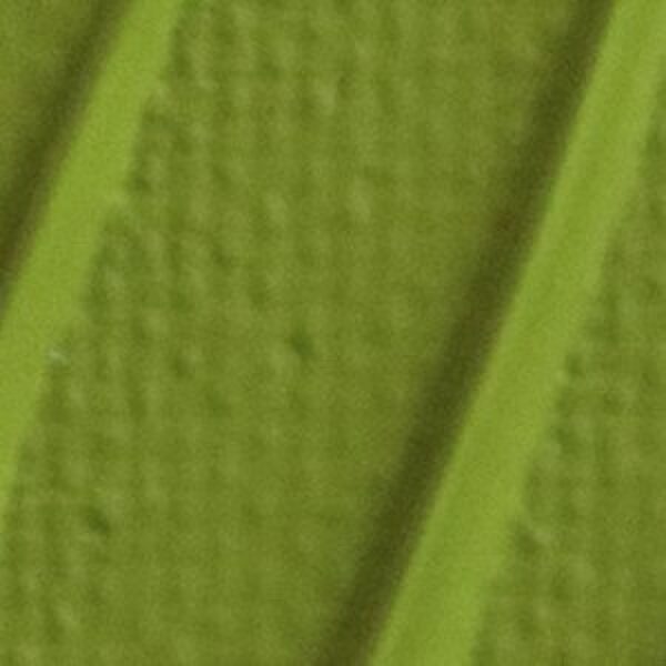 Ακρυλικό Χρώμα  26 Olive Green120ml Pebeo Origin