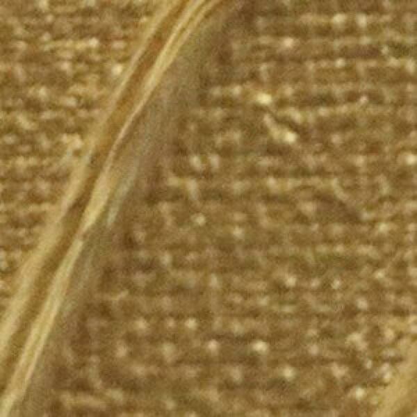 Ακρυλικό Χρώμα 41 Gold 120ml Pebeo Origin